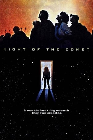 Poster 彗星之夜 1984