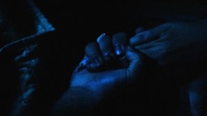 En lo oscuro no se ve CDA