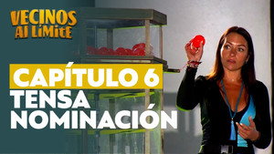 Episodio 6