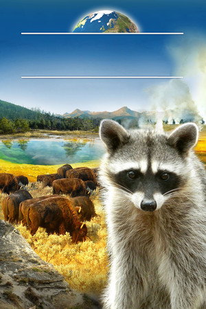 World Natural Heritage USA: Yellowstone National Park