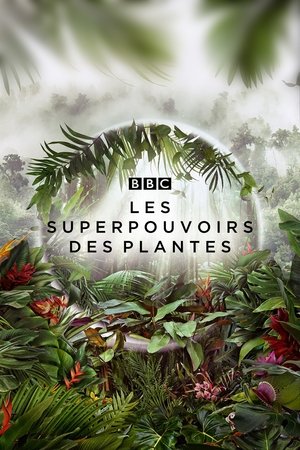 Image Les superpouvoirs des plantes