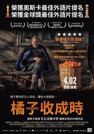 Poster 金橘 2013