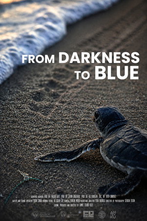 From Darkness to Blue