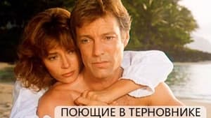 poster The Thorn Birds