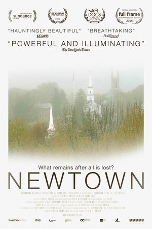 Newtown (2016)