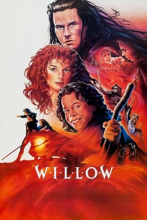 Image Willow