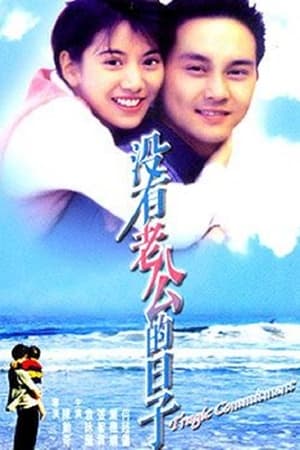 Poster 沒有老公的日子 1995