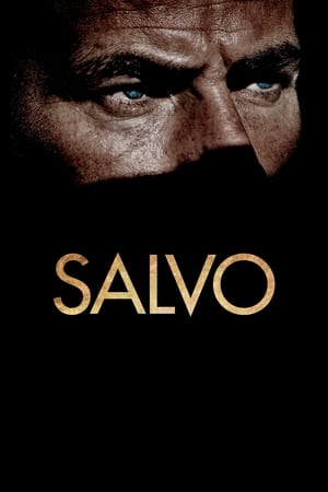 Poster Salvo (2013)