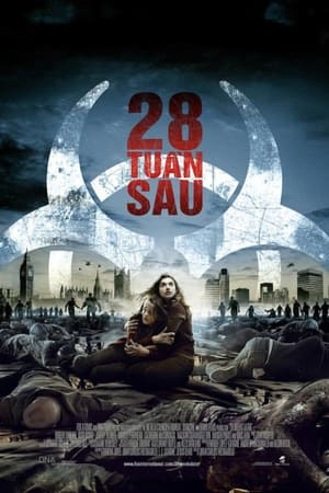 Poster 28 Tuần Sau 2007