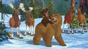 فلم الكرتون اخي الدب – الجزء الثاني Brother Bear 2 مدبلج عربي فصحى من جييم