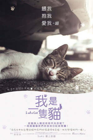 我是一隻貓
