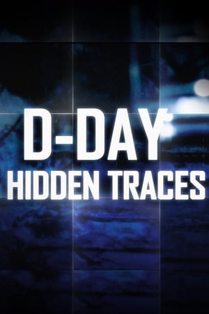 D-Day:  Hidden Traces 2014