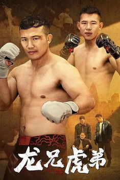 龙兄虎弟
