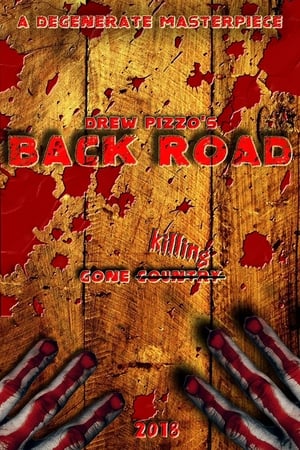 Poster Back Road (2020)