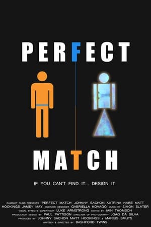 Image Perfect Match