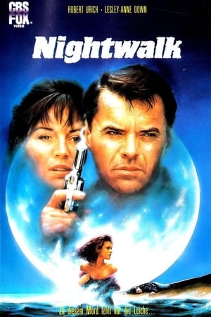 Night Walk poster