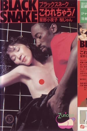 Poster ブラックスネーク　こわれちゃう！ 1987