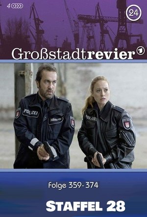 Saison 28