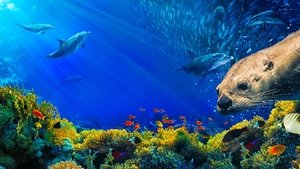 Oceans: Our Blue Planet film complet