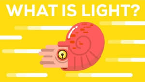 Kurzgesagt - In a Nutshell What Is Light?