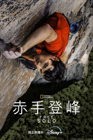 poster Free Solo