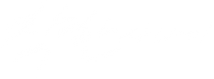 Ảnh 31