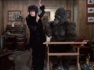 Bewitched Season 7 Episode 22