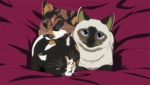 Nyaight of the Living Cat: 1×9