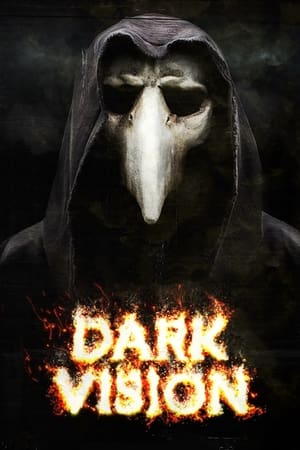 Poster Dark Vision 2015