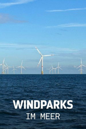 Image Windparks im Meer - Chance oder Risiko für die Natur?