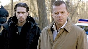 Wallander: 1×9