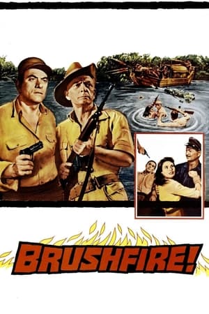 Poster Brushfire (1962)