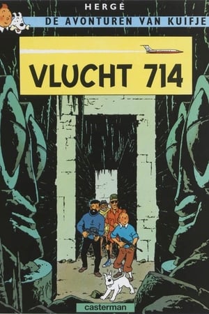 Poster Vlucht 714 1992