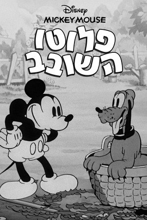 Image פלוטו השובב