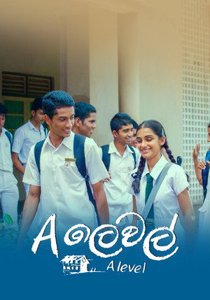 A Level 6