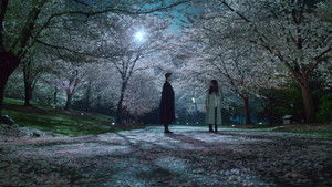 Love Between Lines: 1×13