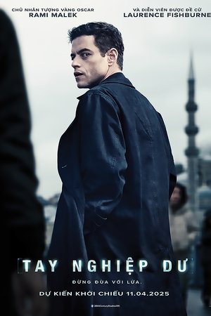 poster The Amateur