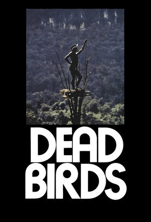 Dead Birds 6