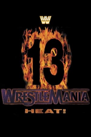 WWE WrestleMania 13 poster