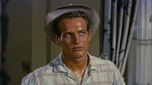 The Long Hot Summer (1958)