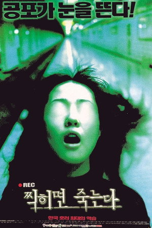 The Record 15