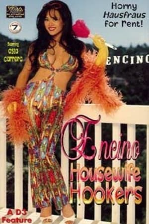 Poster Encino Housewife Hookers 1997