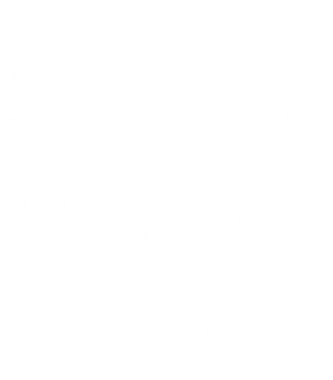 The Maus