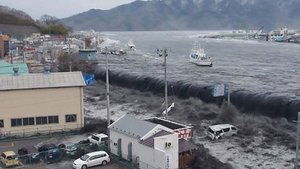 Black Tsunami