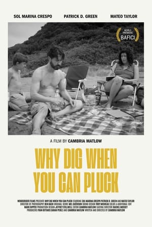 Poster Why Dig When You Can Pluck (2024)