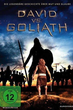 Poster David vs. Goliath 2016