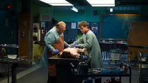 The Autopsy of Jane Doe (2016)