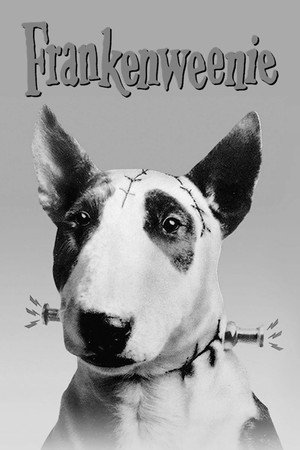 Frankenweenie 20
