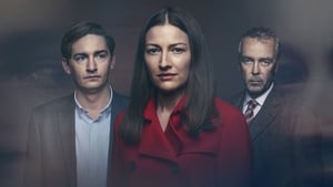 The Victim (2019), serial online subtitrat în Română