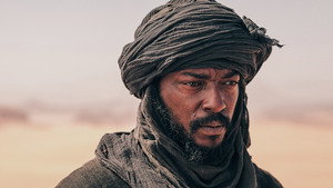 Desert Warrior